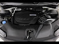 2019 Honda Passport Elite